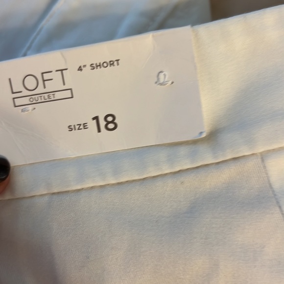 Loft white cotton shorts.Plus size - Picture 4 of 8
